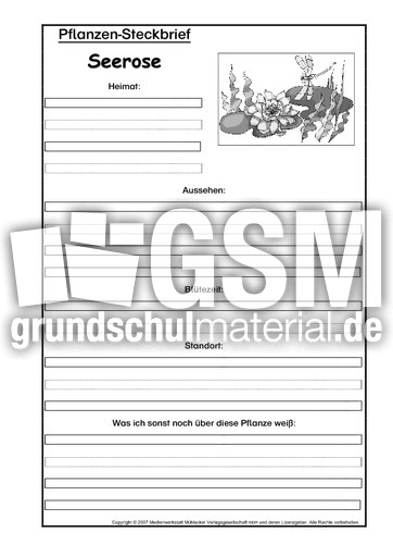 Pflanzensteckbrief-Seerose-SW.pdf